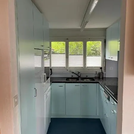 公寓 Chalet Sunnehockli 哈斯利伯格